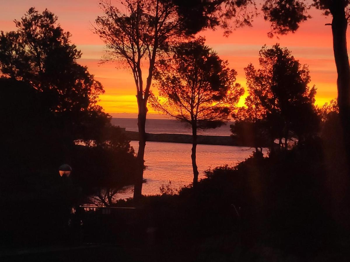 Paraiso En Cala Llobeta Calafat Dış mekan fotoğraf