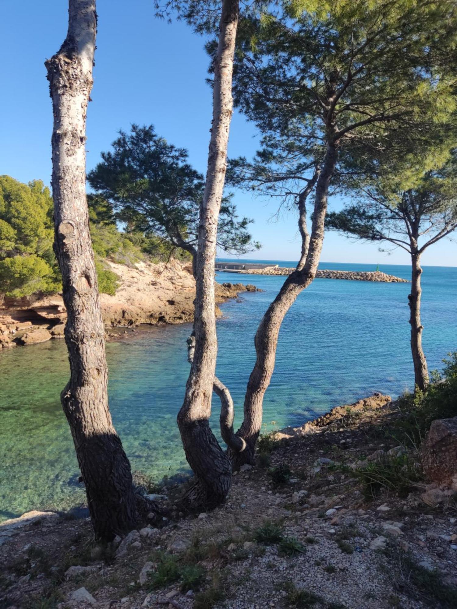 Paraiso En Cala Llobeta Calafat Dış mekan fotoğraf